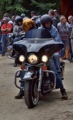 fête champêtre à Serigny